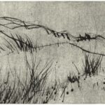 Gravure Joan Beall 2021 - 2025 - Paysage